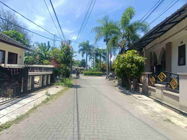 place photo 7