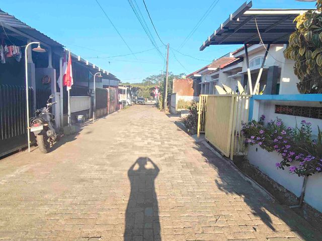 place photo 8