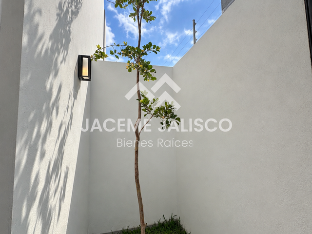 place photo 38