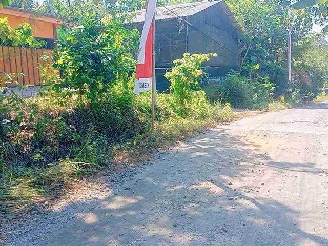 place photo 3