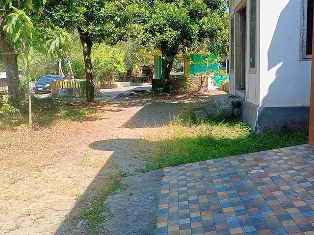 place photo 5