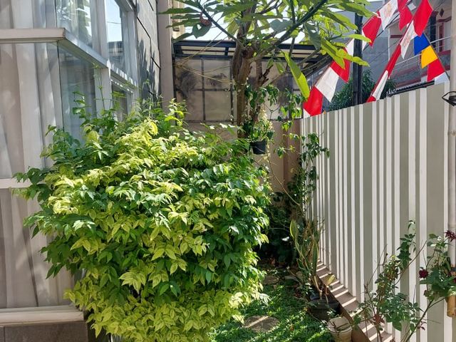 place photo 23