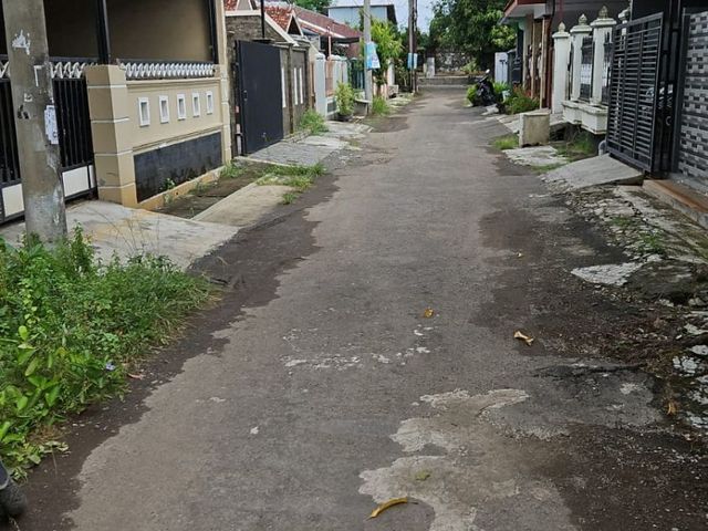place photo 15
