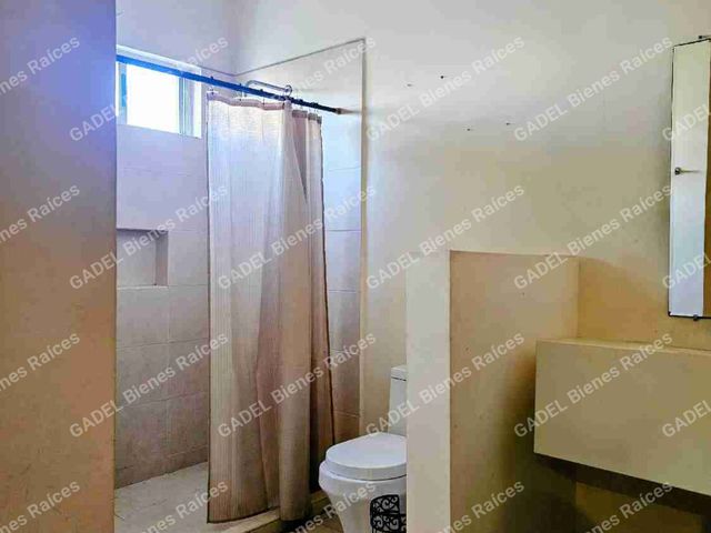 place photo 27