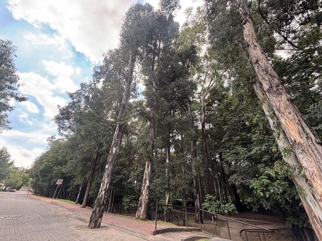 place photo 23