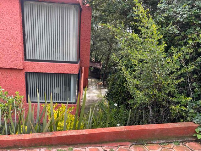place photo 40