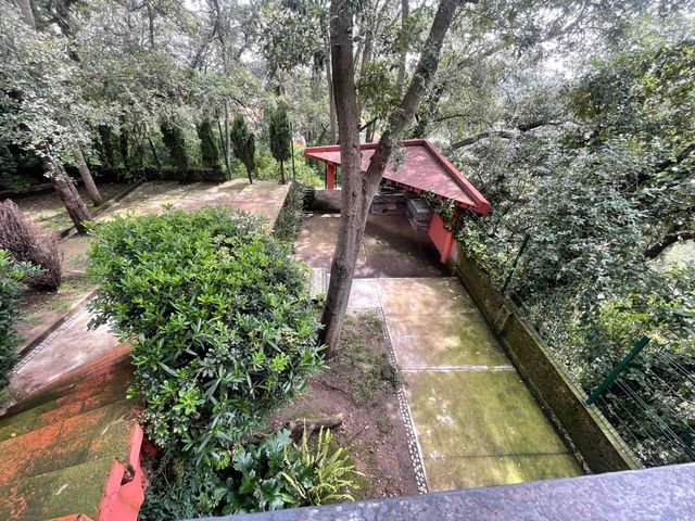 place photo 43