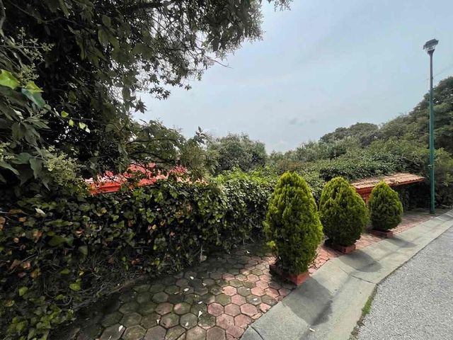 place photo 47