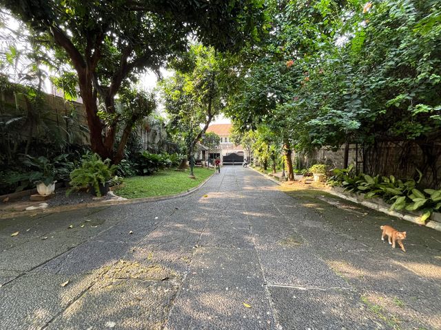 place photo 12
