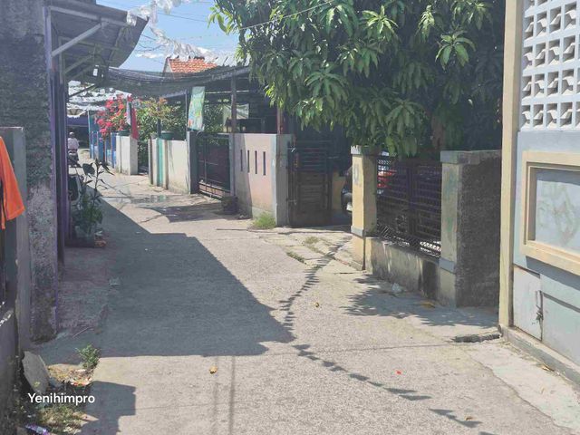 place photo 3