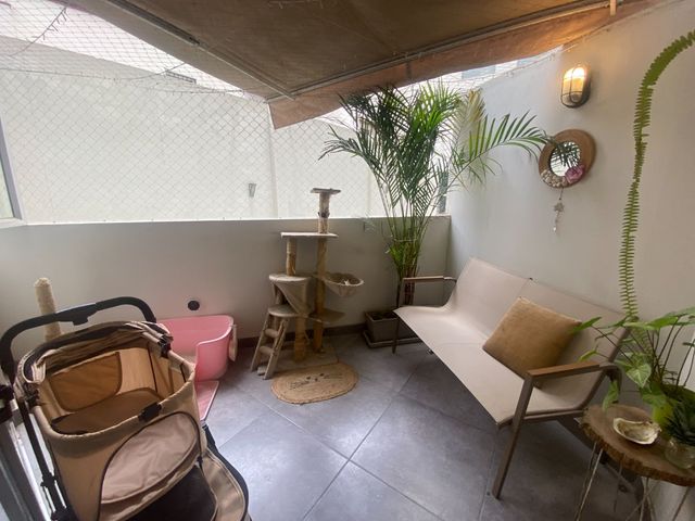 place photo 12
