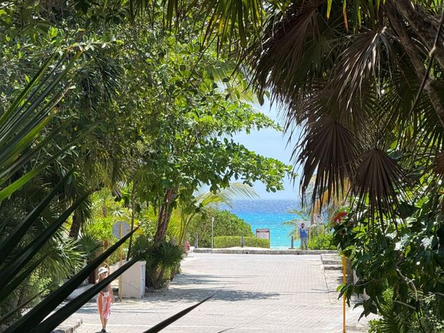 place photo 39