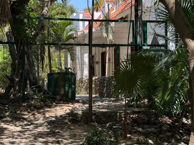 place photo 38