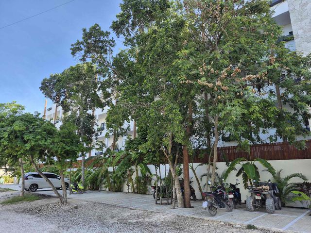 place photo 21