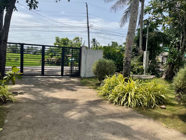place photo 53