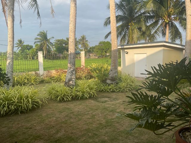 place photo 36