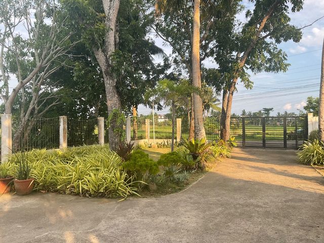 place photo 40