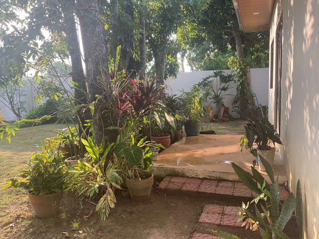 place photo 41