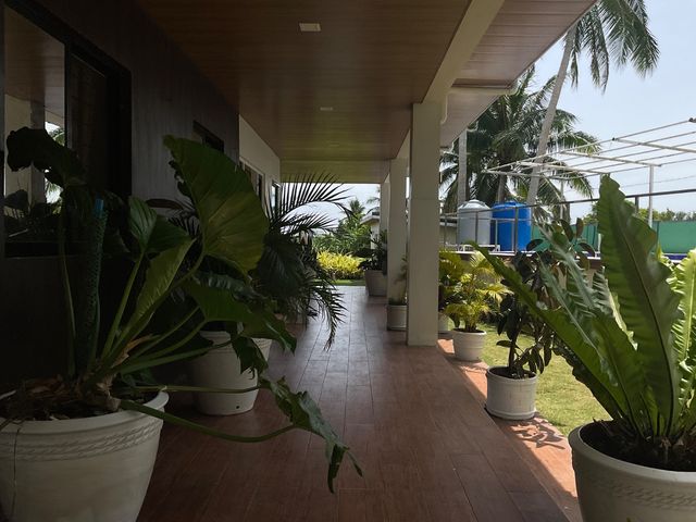 place photo 45