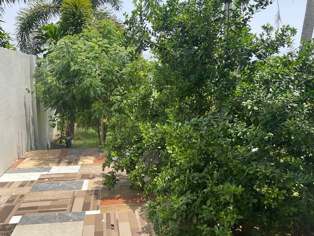 place photo 46