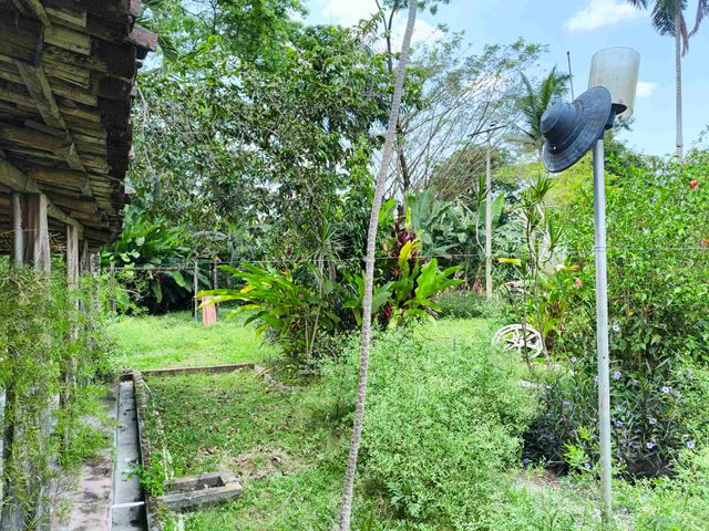 place photo 30