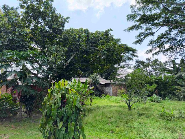 place photo 31