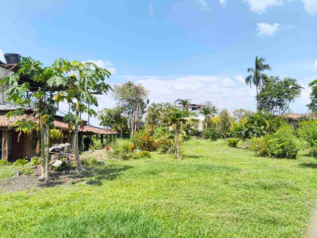 place photo 37