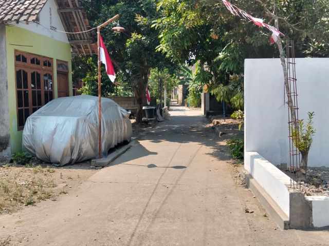 place photo 11