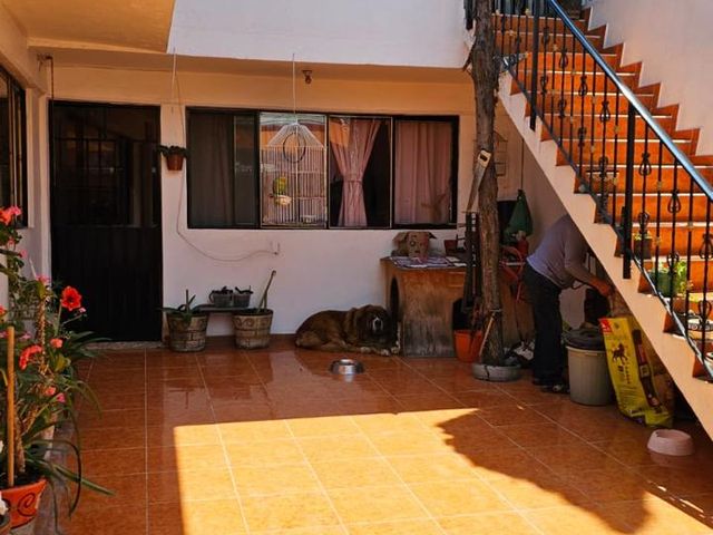 place photo 34