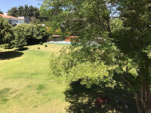 place photo 45