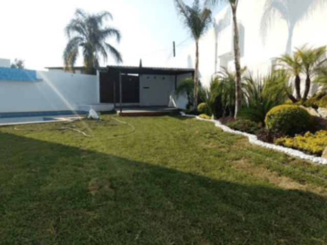 place photo 19