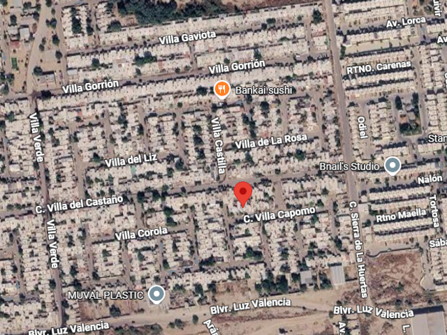 place photo 9