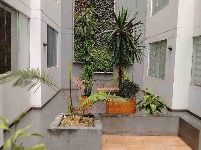 place photo 17