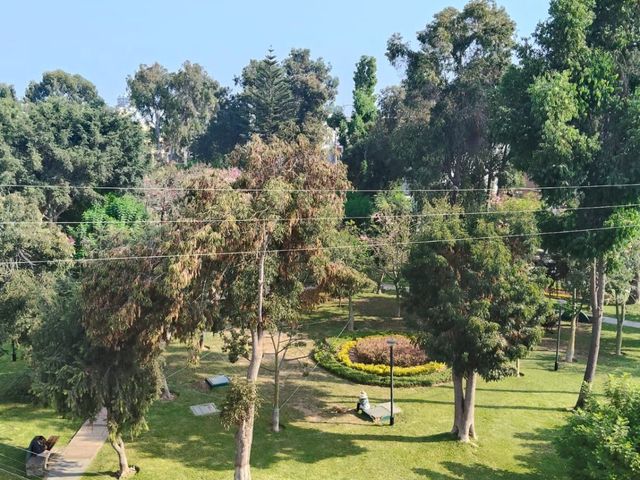 place photo 34