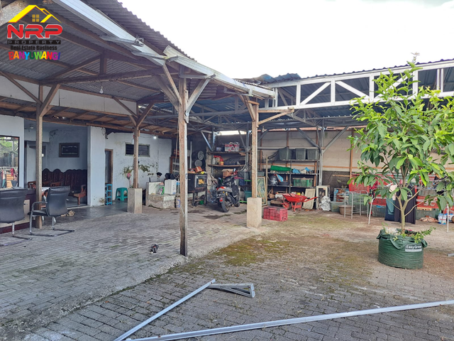 place photo 17