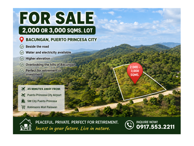 Residential Lot going to Nagtabon Beach in Puerto Princesa City, Palawan