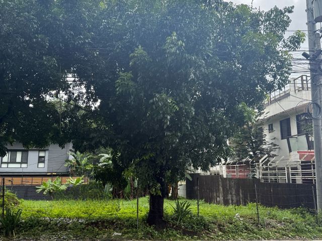 Residential Lot For Sale in Filinvest 2