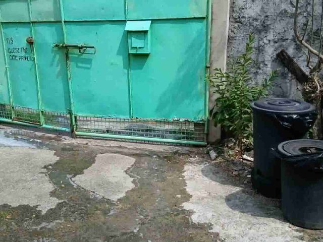 place photo 24