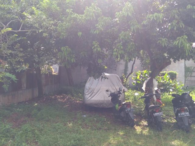 place photo 10