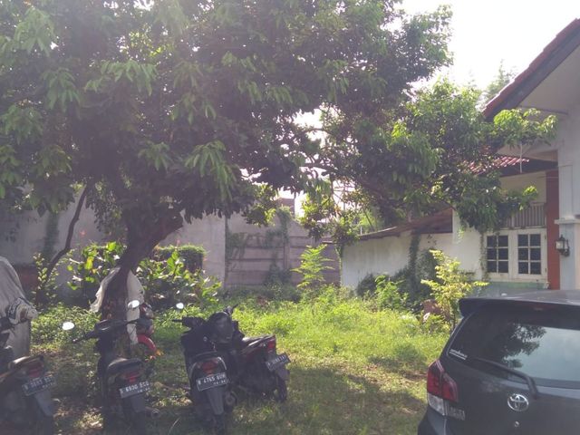 place photo 14