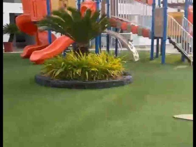 place photo 29