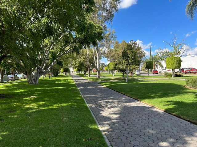 place photo 37