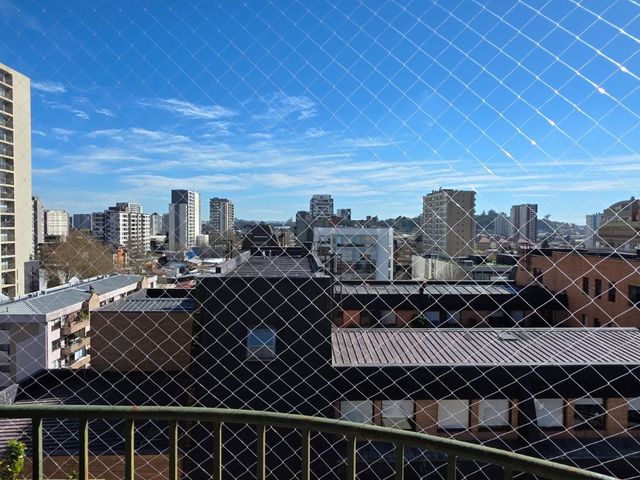 place photo 33