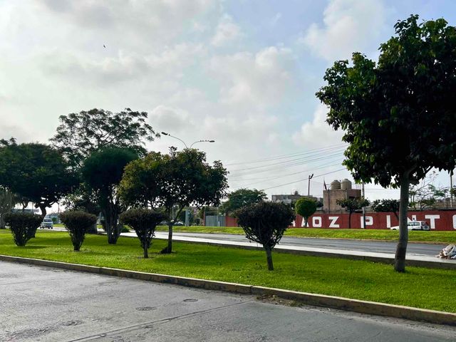 place photo 15