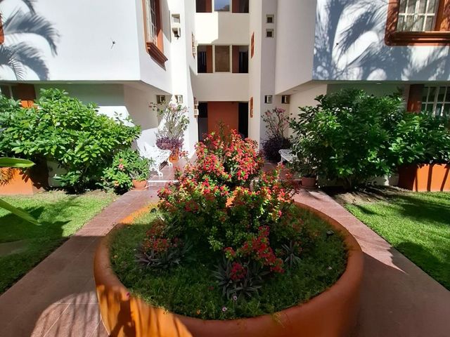 place photo 46