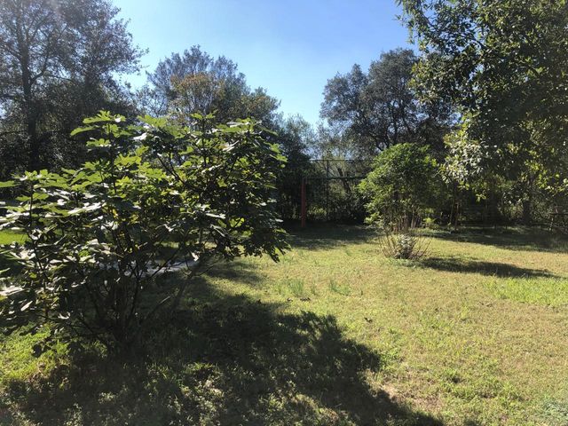place photo 34