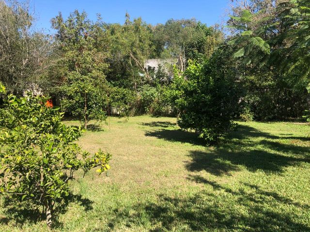 place photo 35