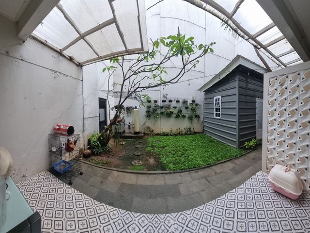 place photo 19
