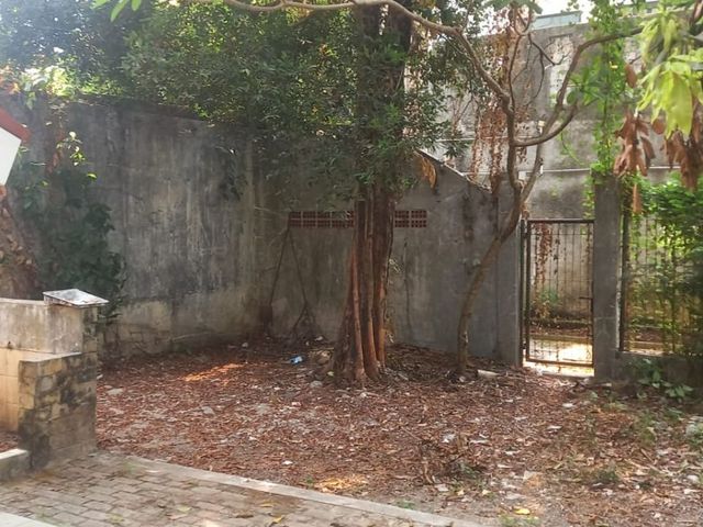 place photo 34