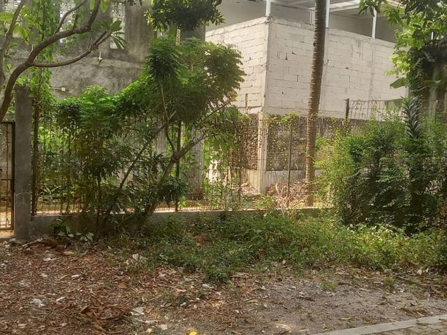place photo 35
